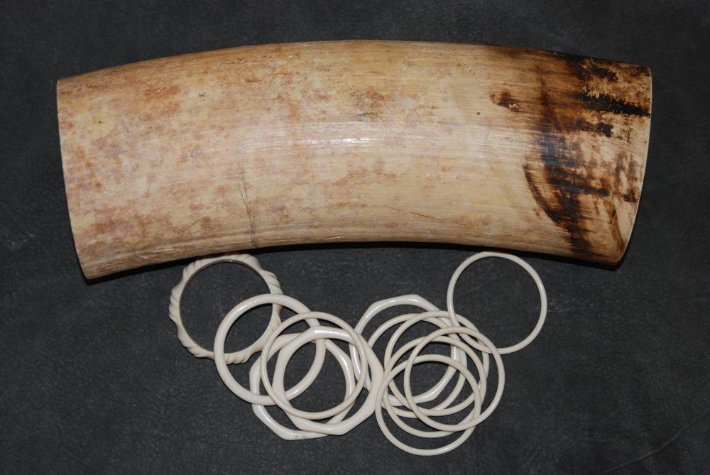 Elfenbeinschmuck; Foto: Böhmer, BfN Elfenbeinschmuck; Foto: Böhmer, BfN