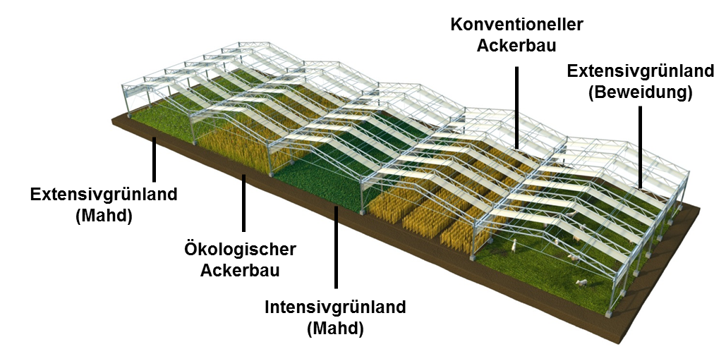 Land use