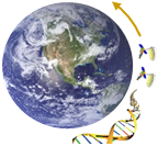 Helmholtz Alliance "Remote Sensing and Earth System Dynamics"