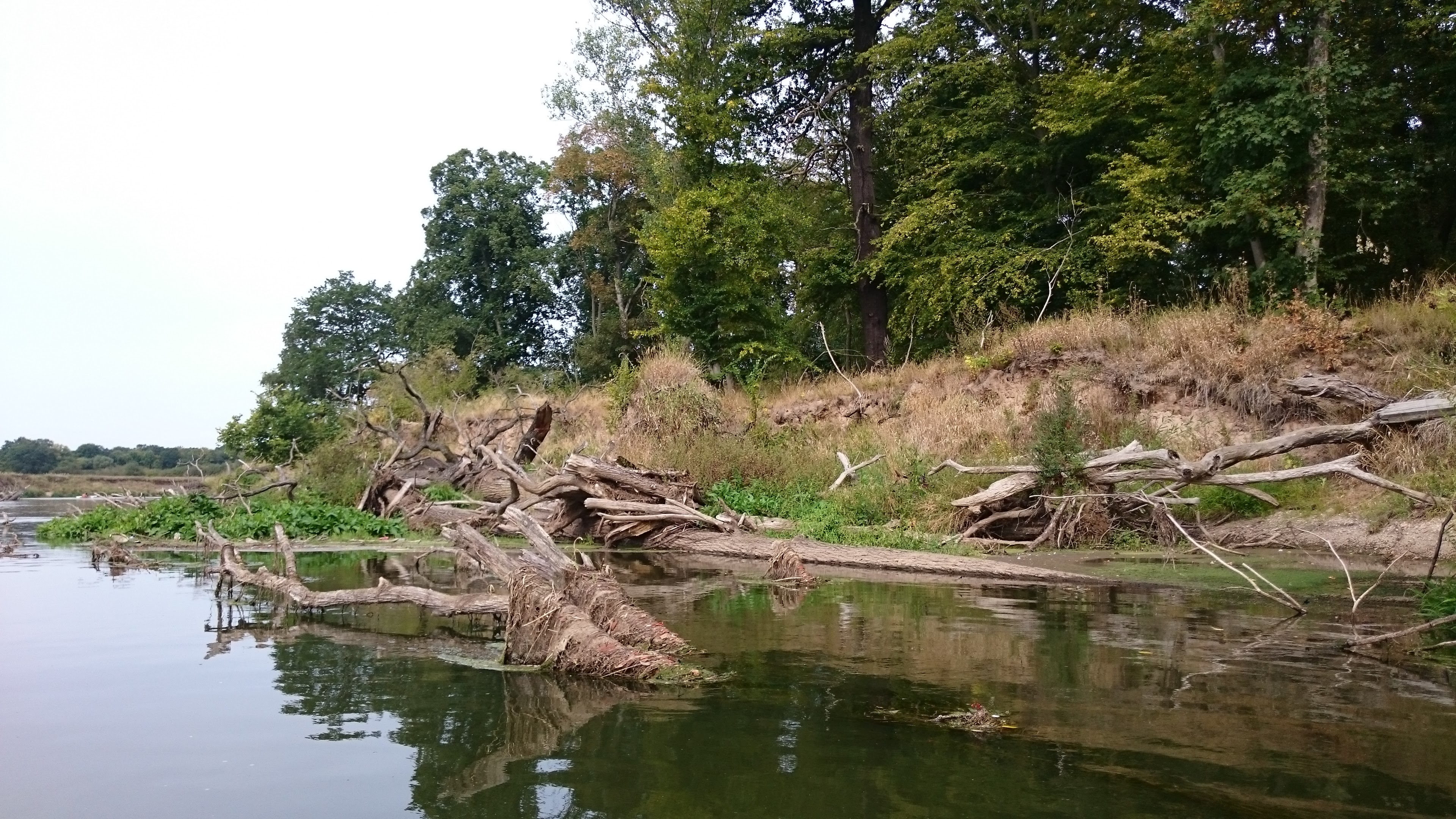 Wilde Mulde Projektgebiet Wilde Mulde Projektgebiet