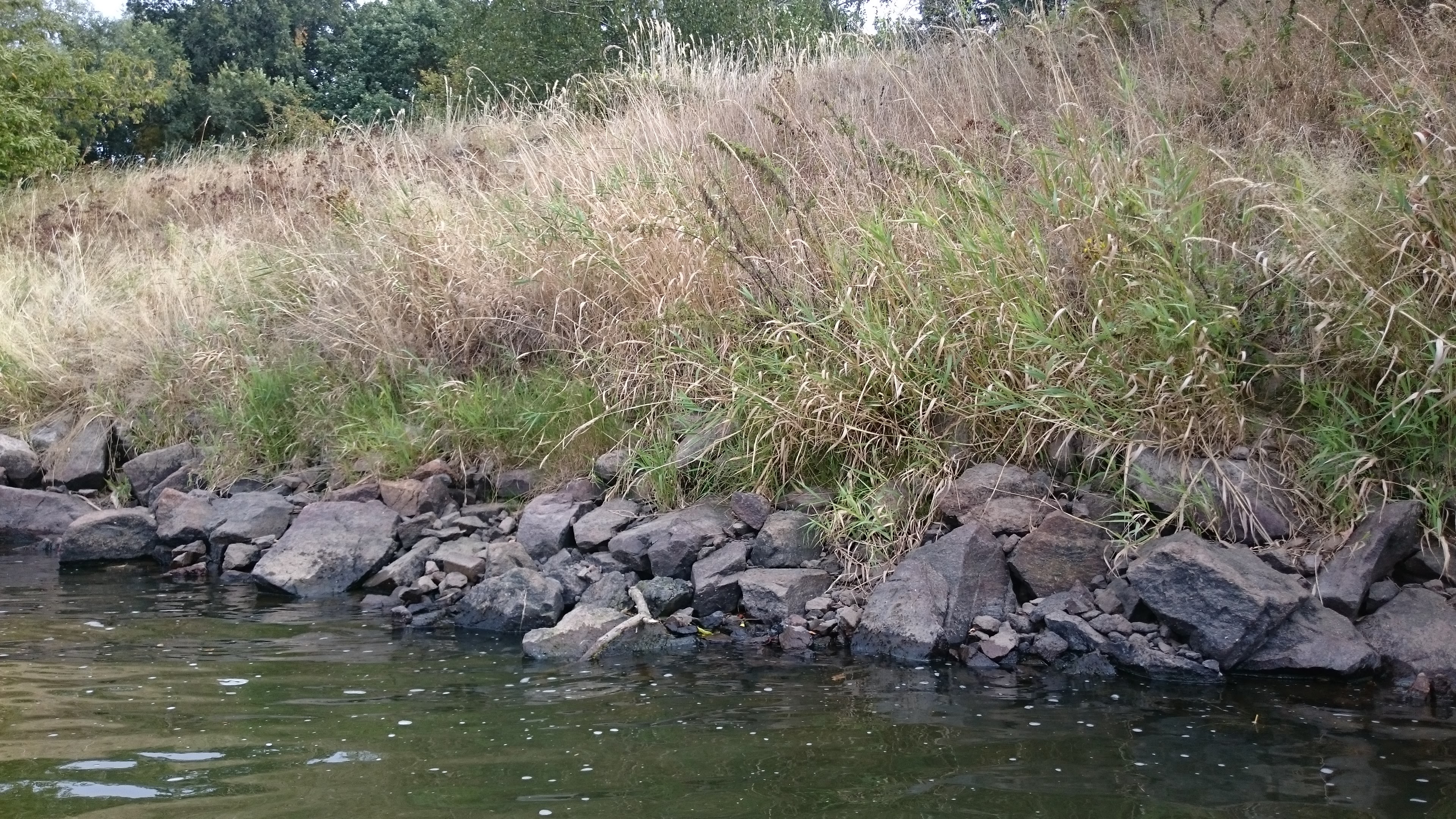 Wilde Mulde Projektgebiet Wilde Mulde Projektgebiet