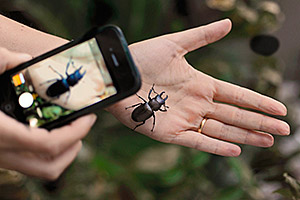 Citizen Science. Foto: Francesco Tomasinelli