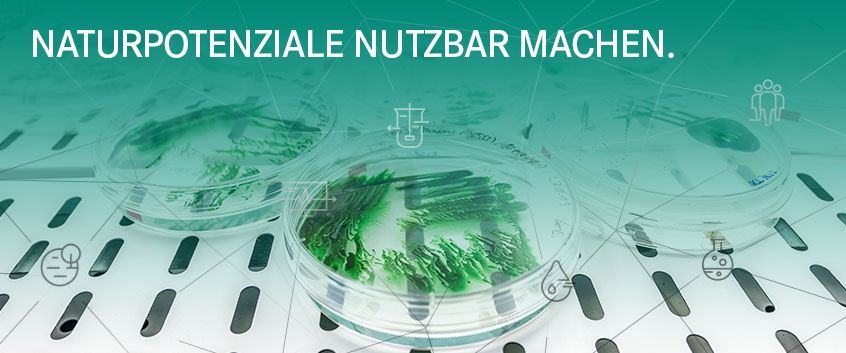 Naturpotenziale nutzbar machen. Naturpotenziale nutzbar machen.