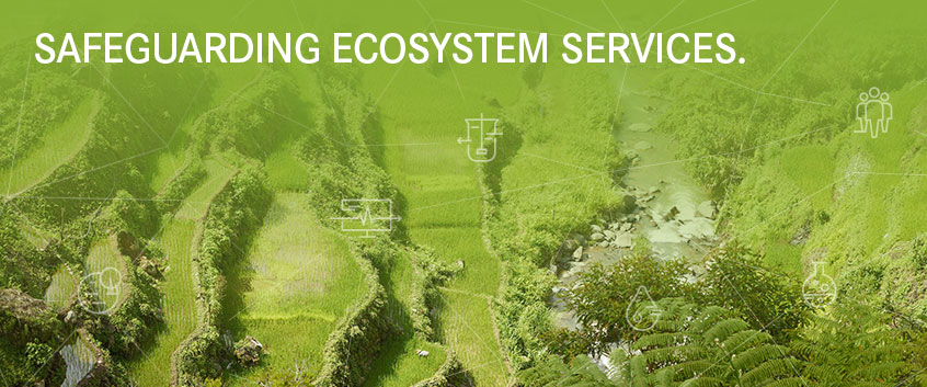 SAFEGUARDING ECOSYSTEM SERVICES SAFEGUARDING ECOSYSTEM SERVICES
