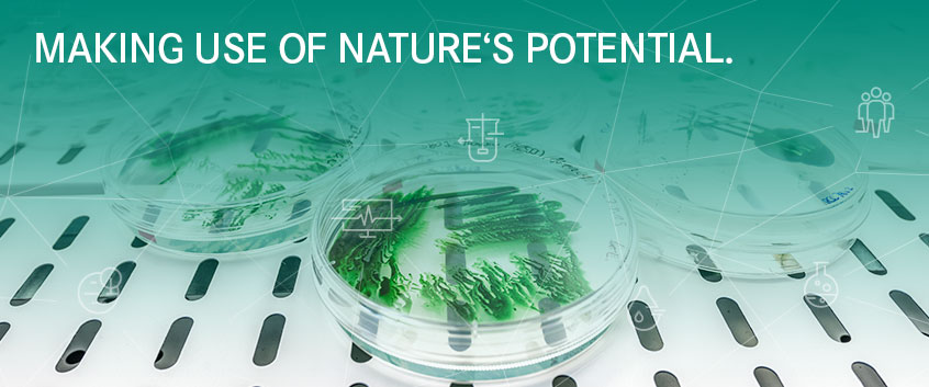 MAKING USE OF NATURE’S POTENTIAL MAKING USE OF NATURE’S POTENTIAL