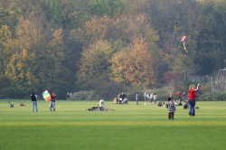 Menschen im Park