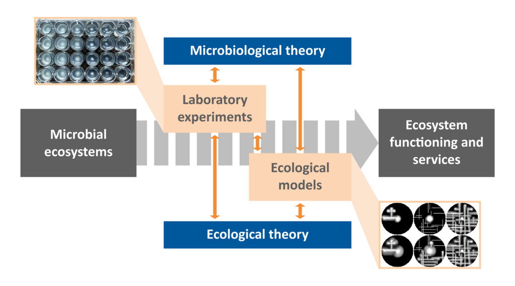 microbial ecology research study