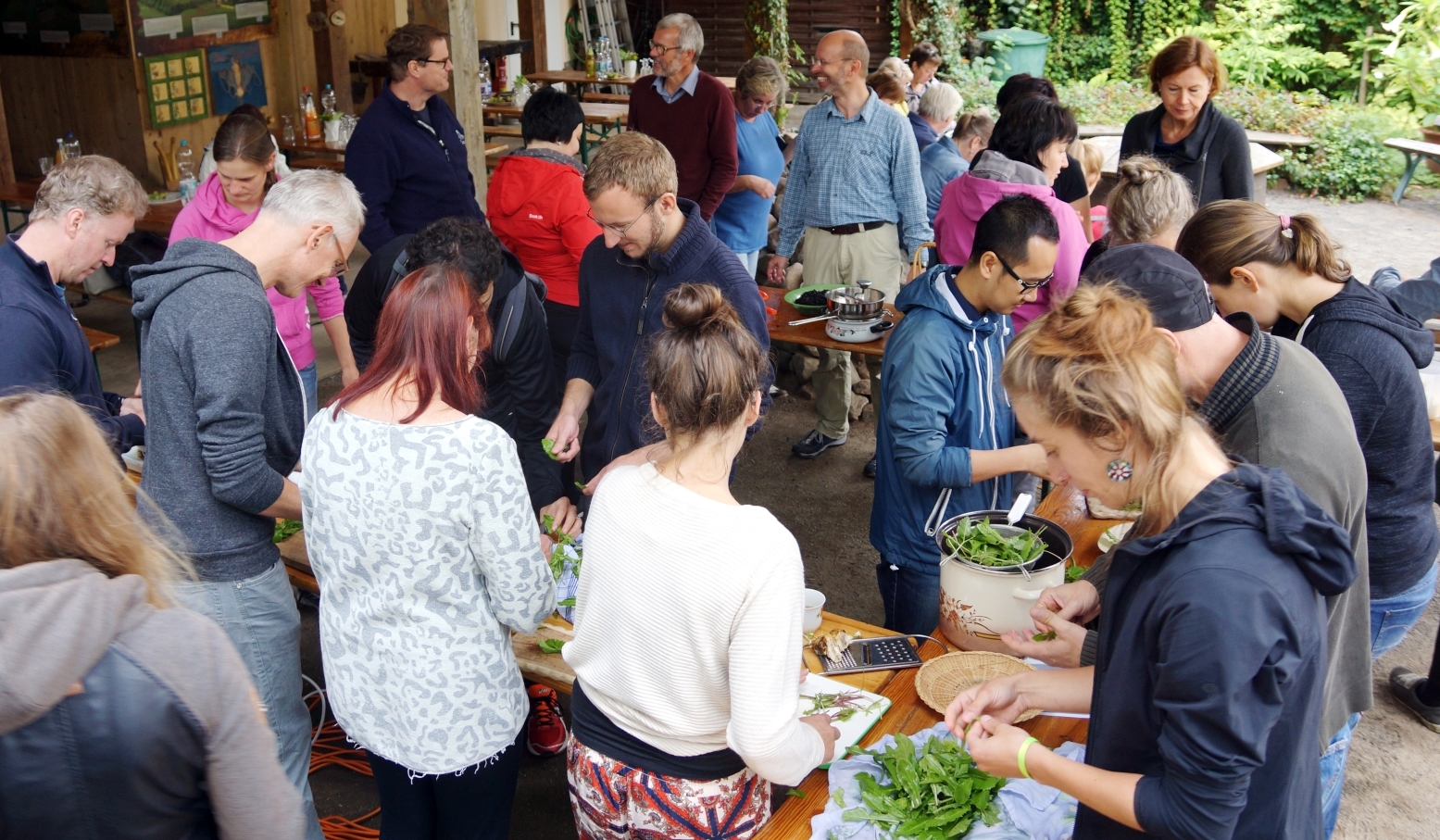 Baking and cooking with herbs