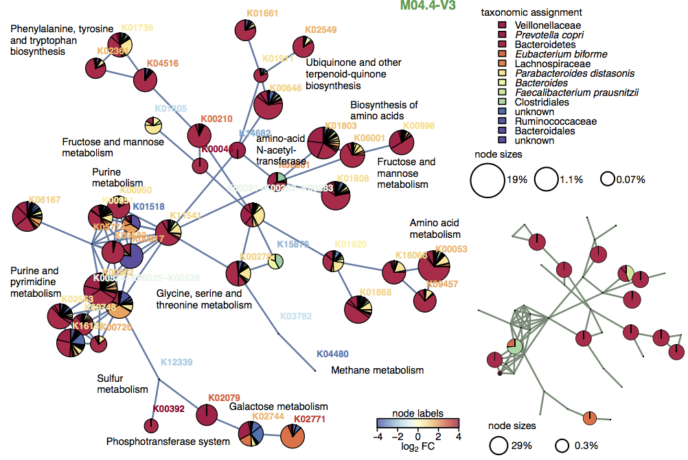 network multiomics Heintz-Buschart et al network multiomics Heintz-Buschart et al