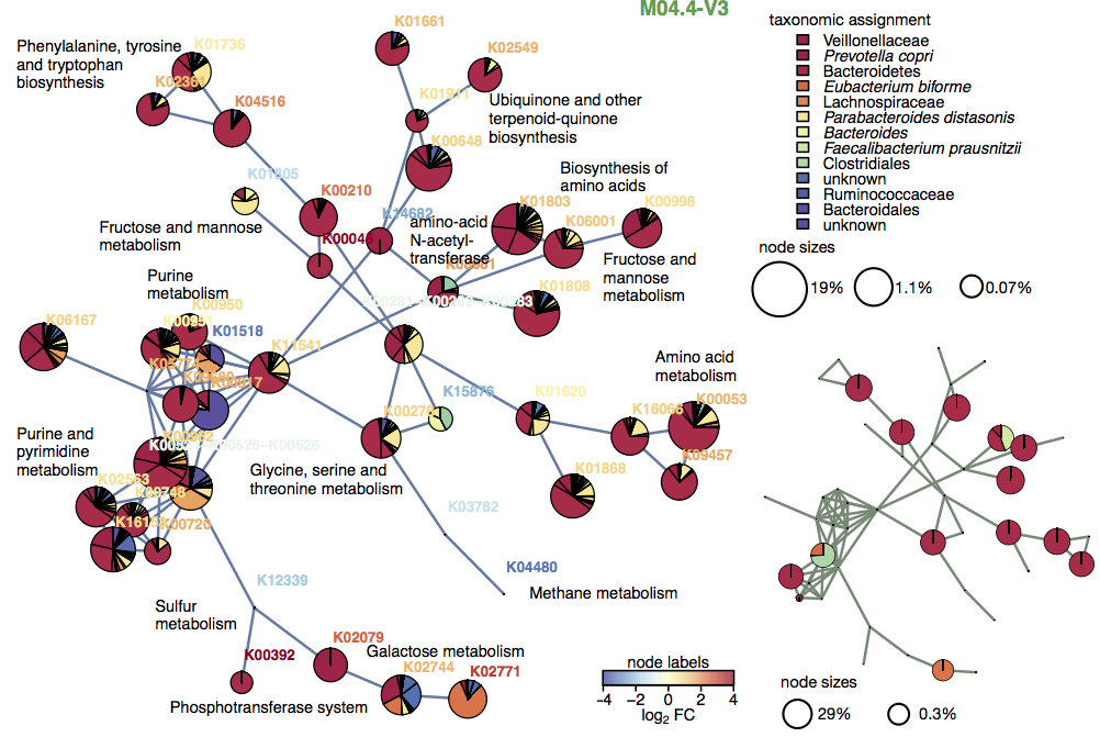 network multiomics Heintz-Buschart et al