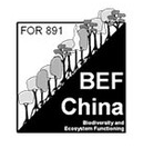 BEF China