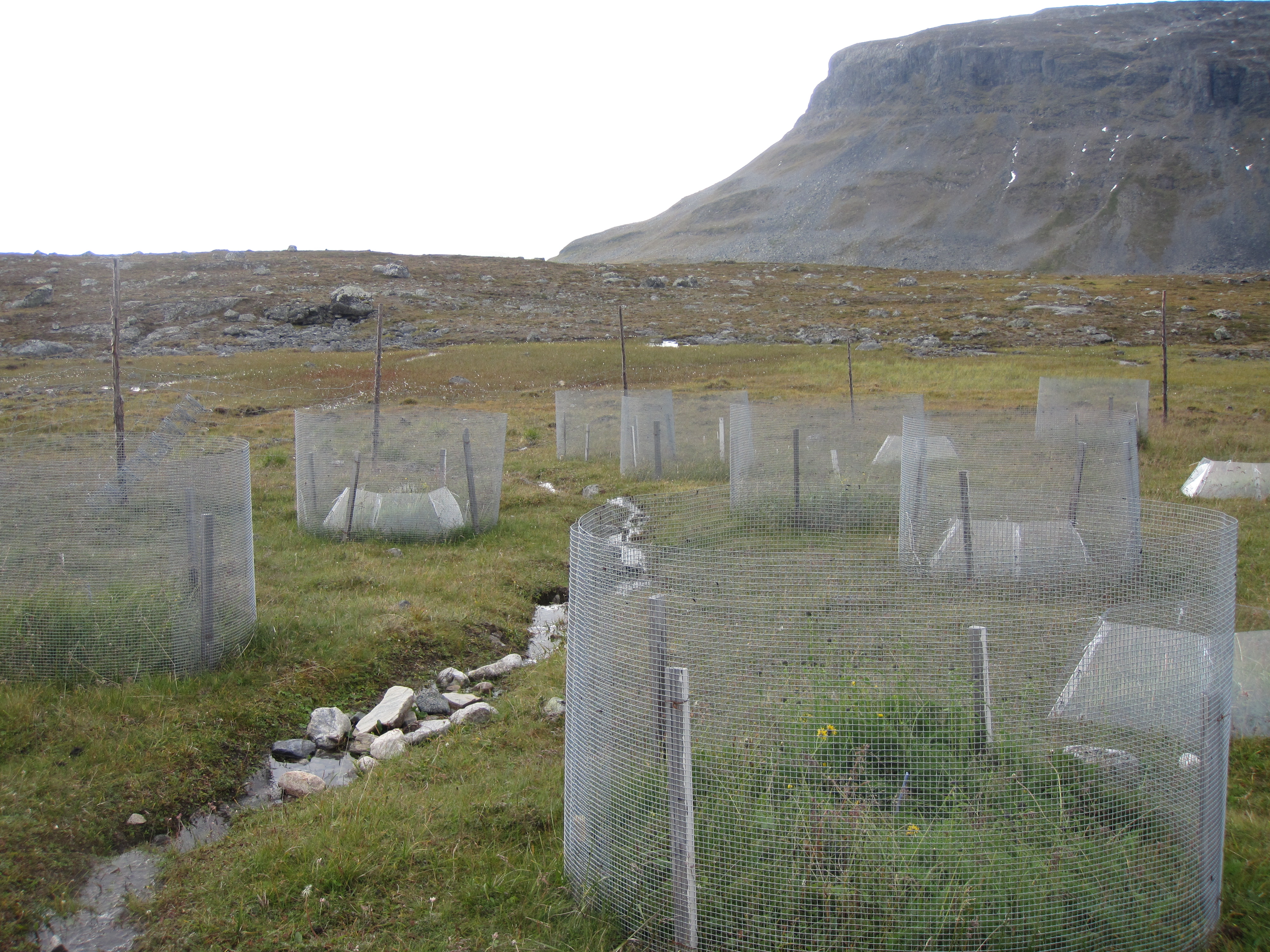 Experimental site in Kilpisjärvi, Northern Finland