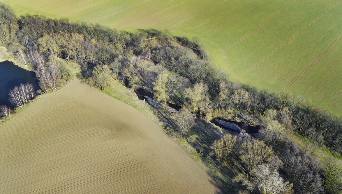 Lower Selke River Lower Selke River