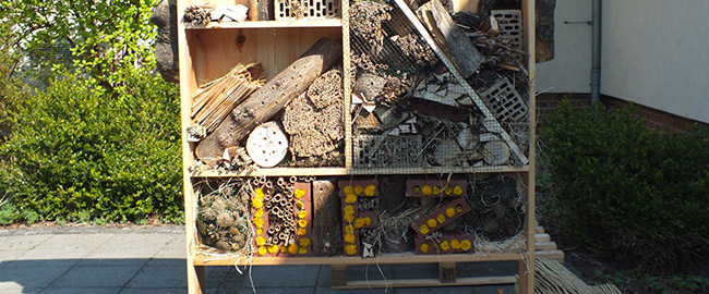 Insektenhotel Insektenhotel