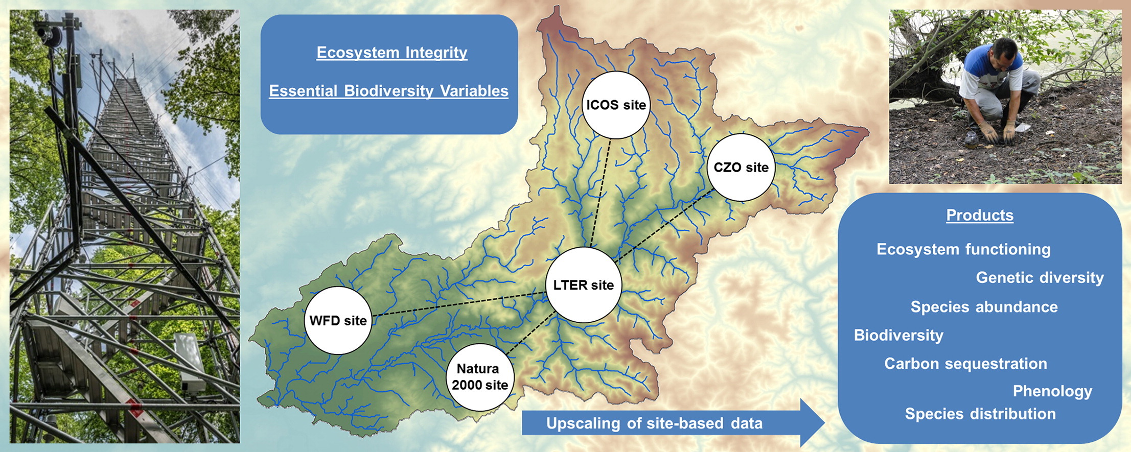 The next generation of site-based long-term ecological monitoring: Linking essential biodiversity variables and ecosystem integrity