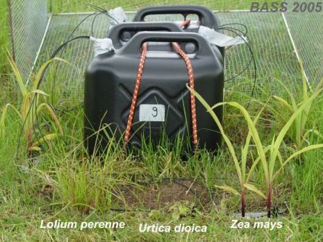 Field experiment Field experiment