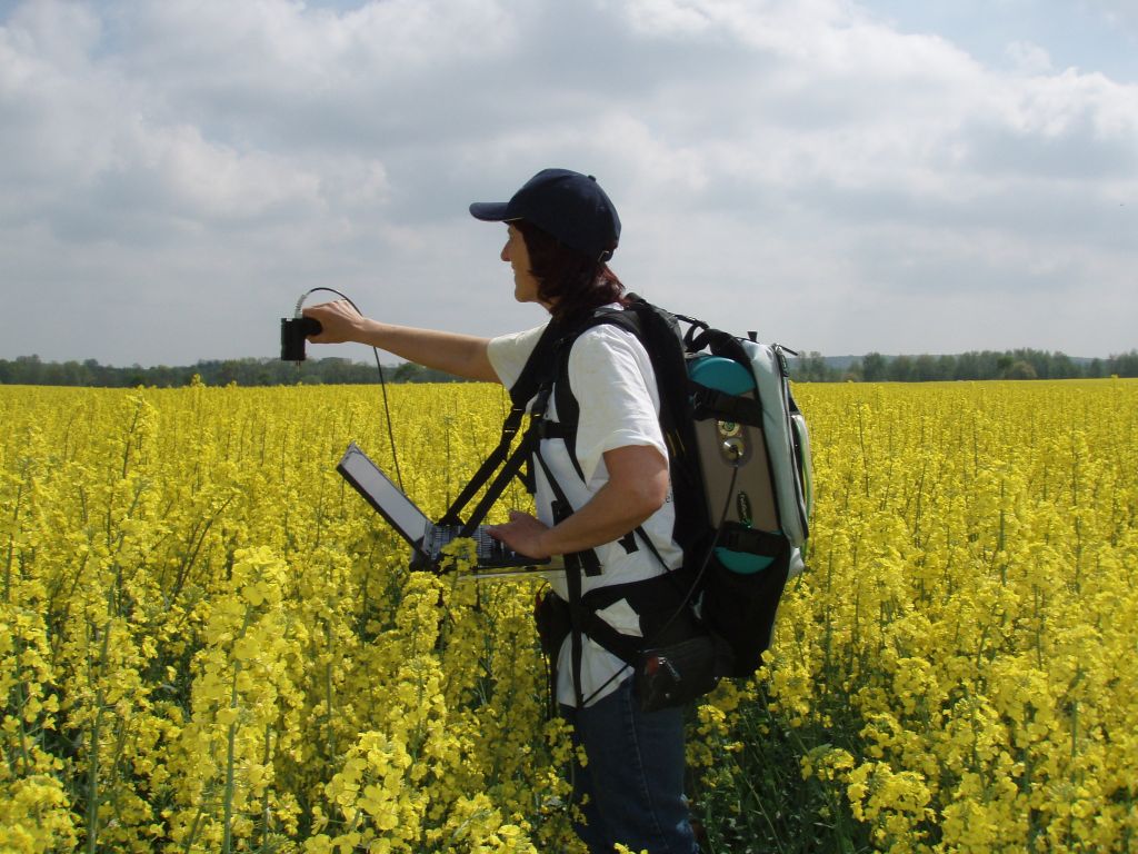ASD Fieldspec measurement ASD Fieldspec measurement