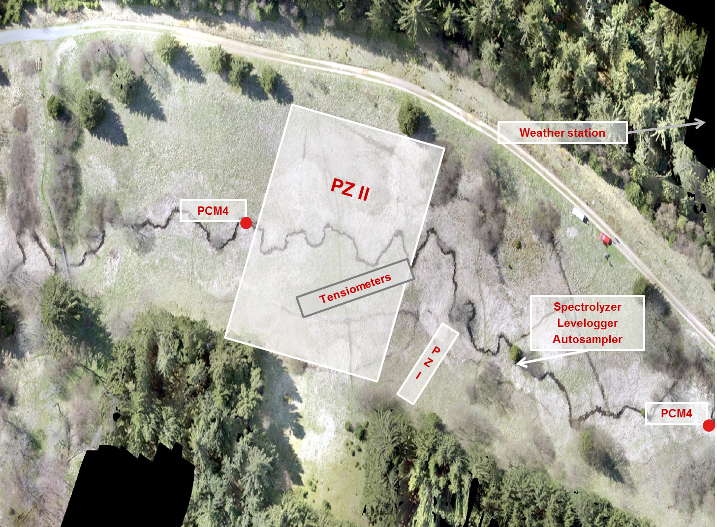 Study site in the Rappbode catchment (Harz mountains, Germany)