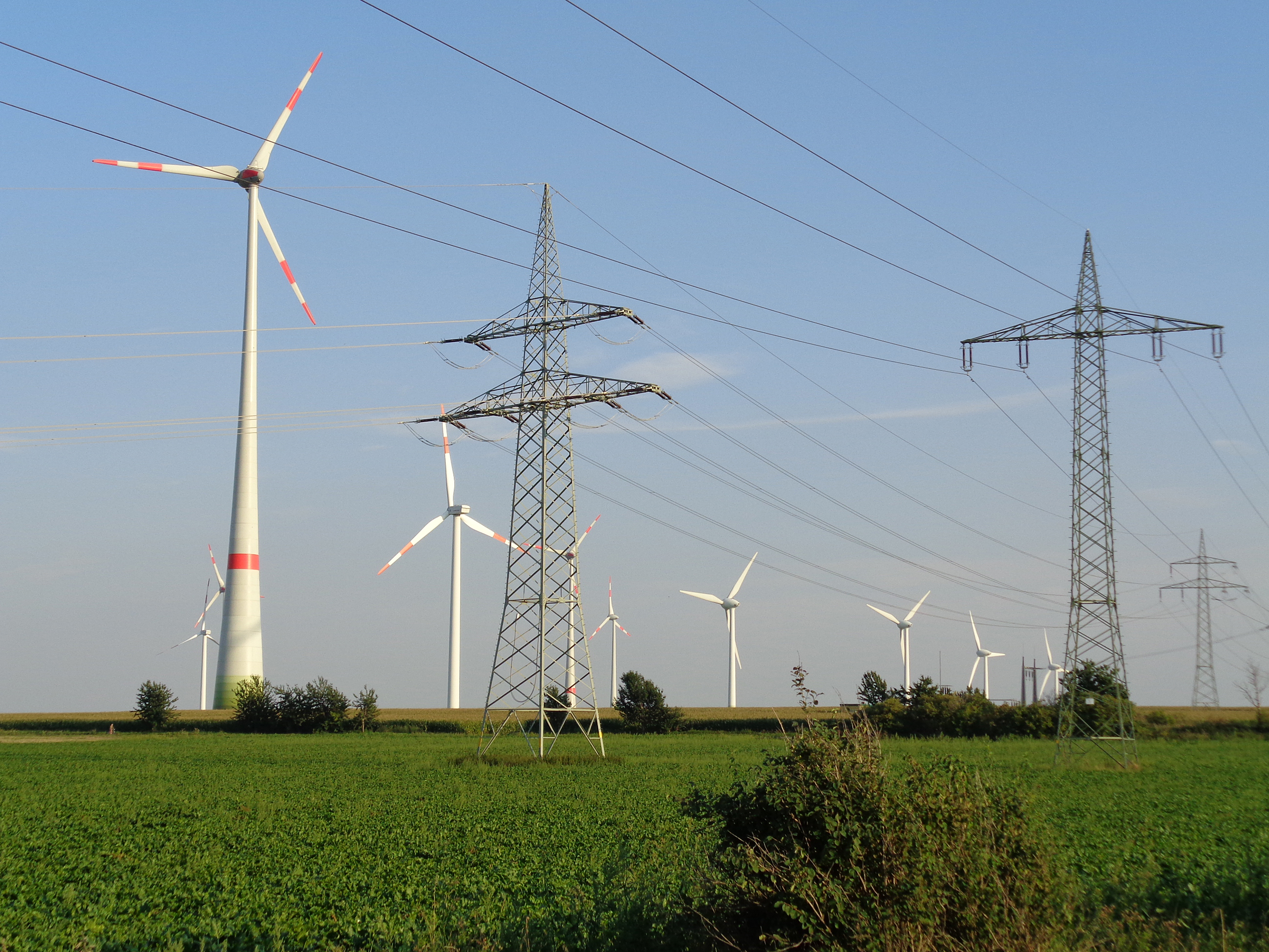 Windkraftanlagen und Leitungen
