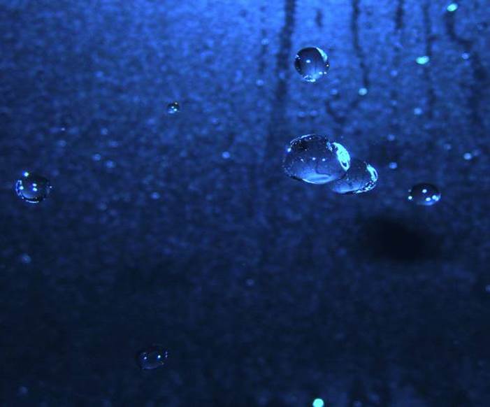water droplets: H. Schubert