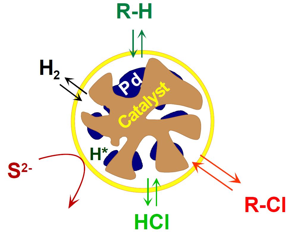 Wastewater and nano   pictures: UFZ