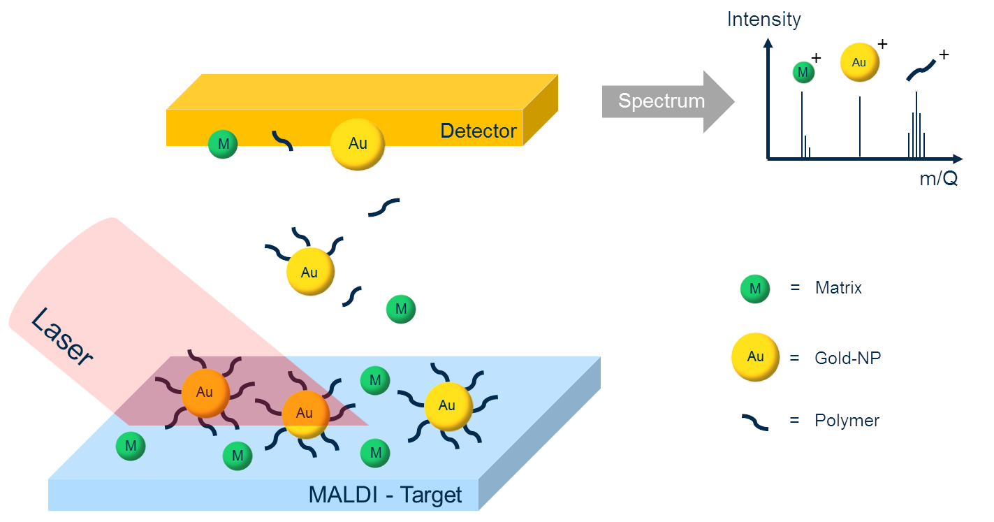 maldi