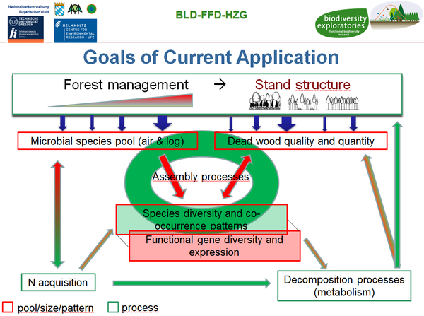 Graphical overview