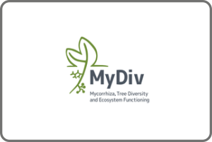 MyDiv