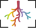 spp2089 Logo spp2089 Logo