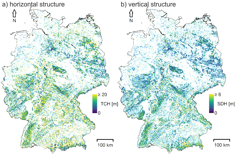 Forest Structure in Germany