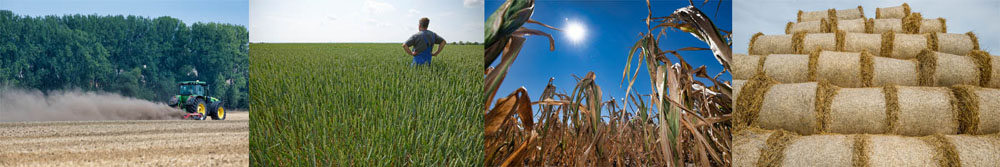 Fotos Landwirtschaft