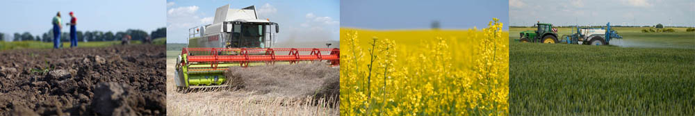 Photos Agriculture