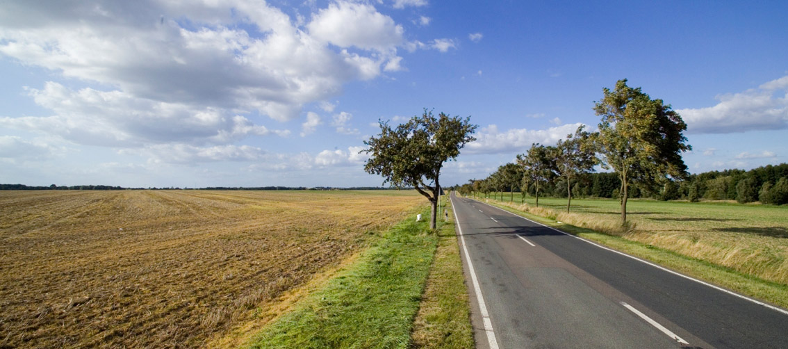 Agrarlandschaft. Foto: A. Künzelmann Agrarlandschaft. Foto: A. Künzelmann