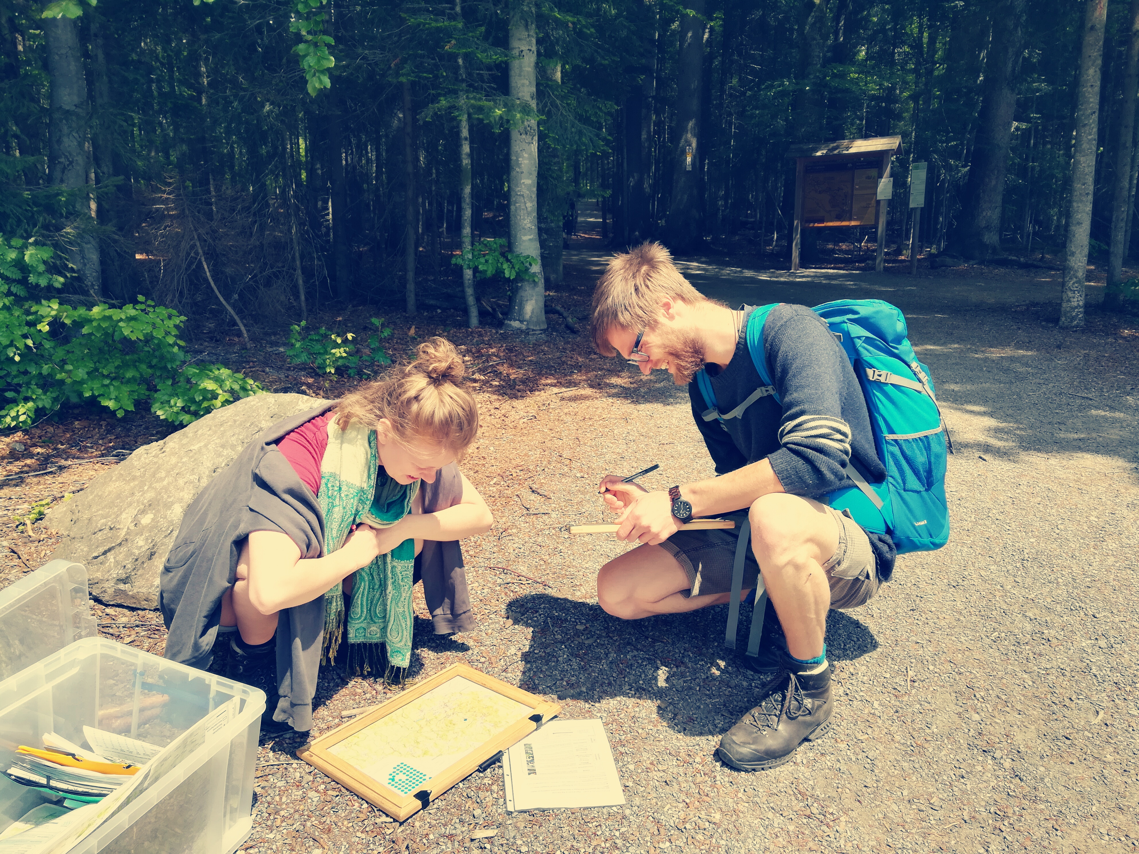 Survey participants in the Bavarian Forest National Park. (Photo credit: Jonna Heuschele) Survey participants in the Bavarian Forest National Park. (Photo credit: Jonna Heuschele)