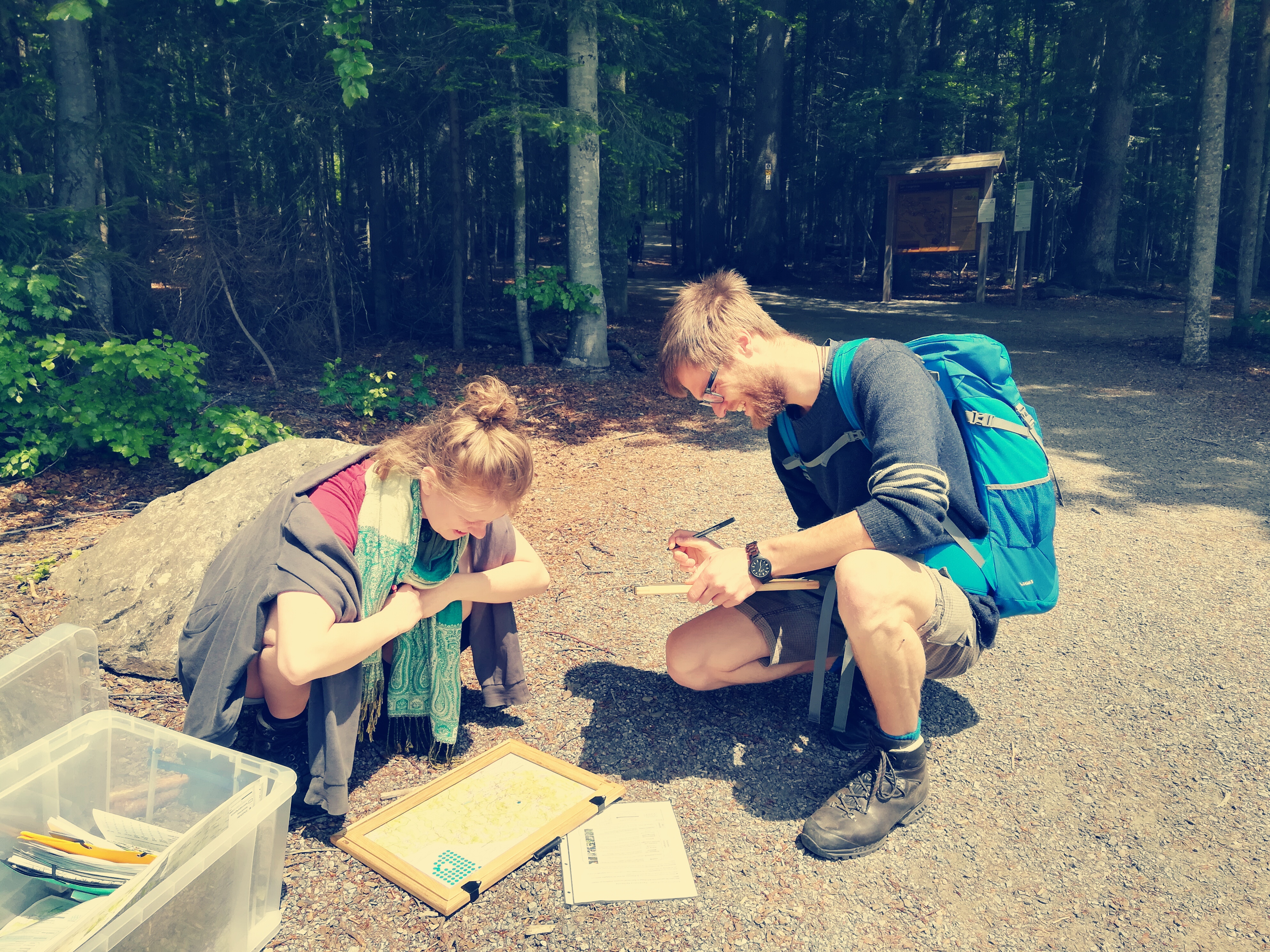 Survey participants in the Bavarian Forest National Park.  (Photo credit: Jonna Heuschele)