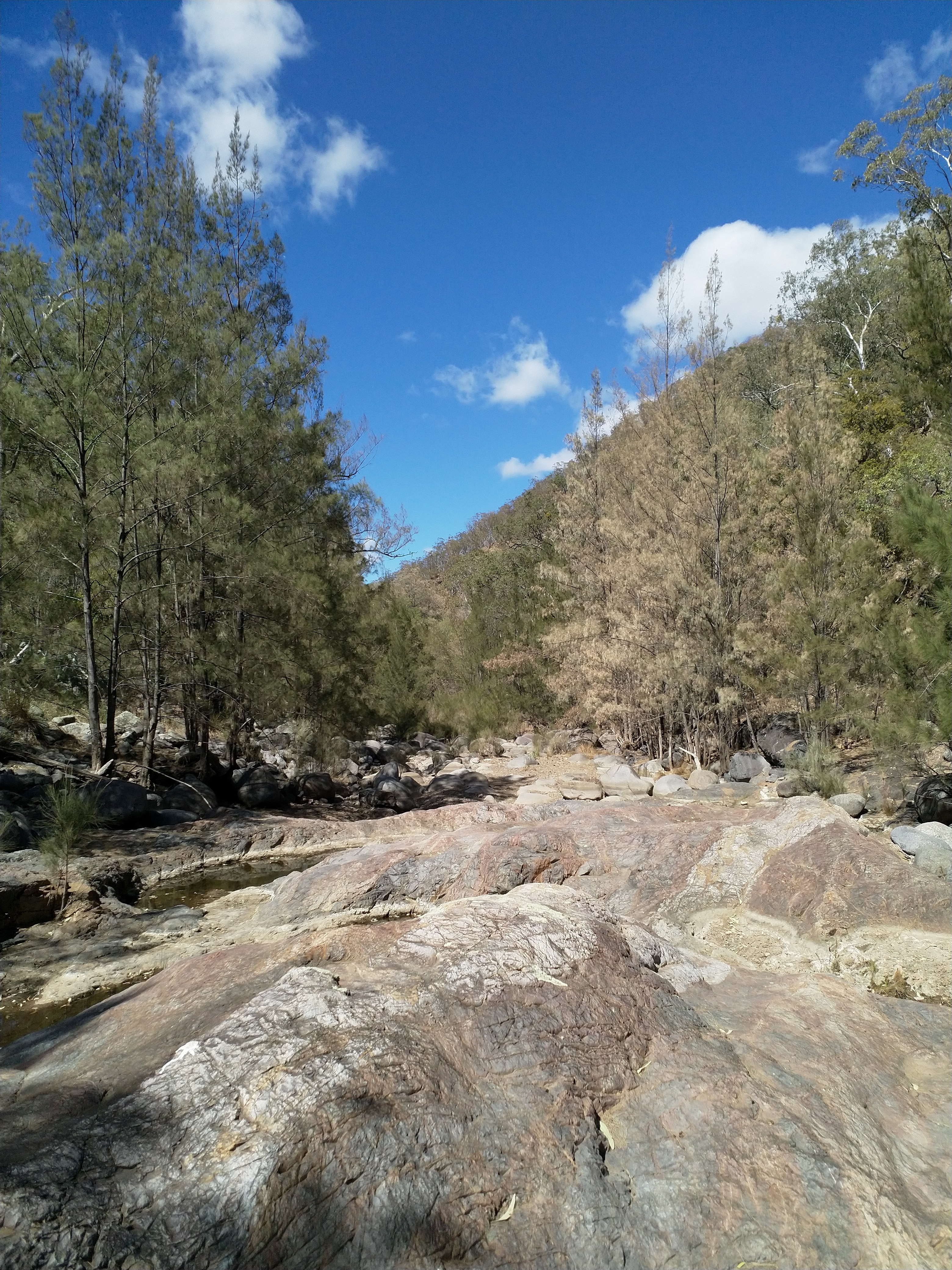 Macleay River Catchment