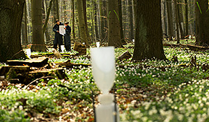 Untersuchungsstandort "Hohes Holz", Installation und Ausbringung von Regensammlern in einem Waldstück. Foto: André Künzelmann/UFZ