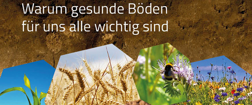 Kollage Boden und Funktionen. Quelle: BONARES Kollage Boden und Funktionen. Quelle: BONARES