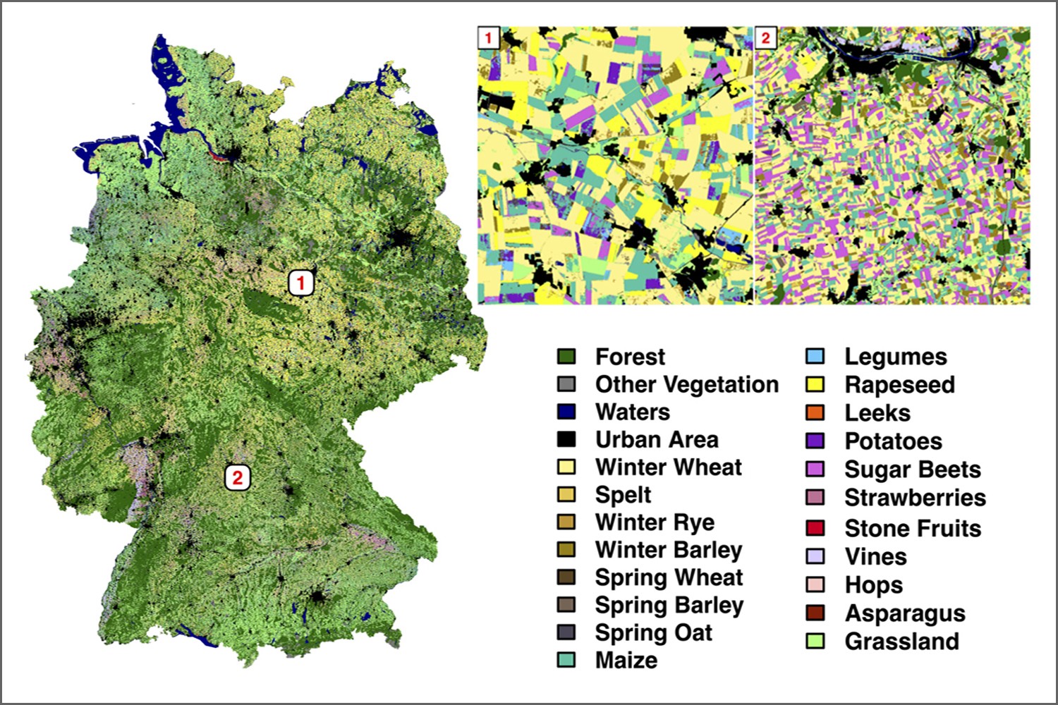 Deutschlandkarte Landbedeckung. Der Algorithmus identifiziert 19 verschiedene Feldfruchtarten mit einer Genauigkeit von 88 Prozent.