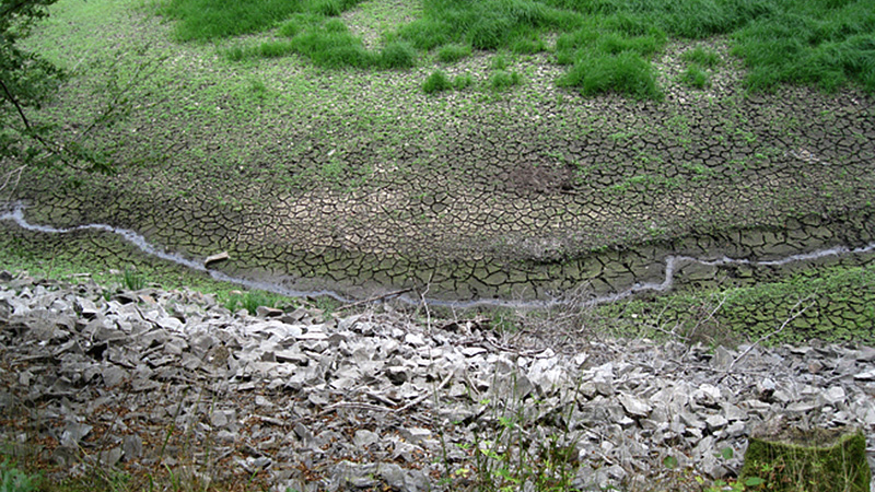 "Ederzuflüsschen". Südseite des ausgetrochneten Edersees mit Rinnsal und aufgeplatzter Erdkruste.
Foto: Lutz Hingst, August 2018