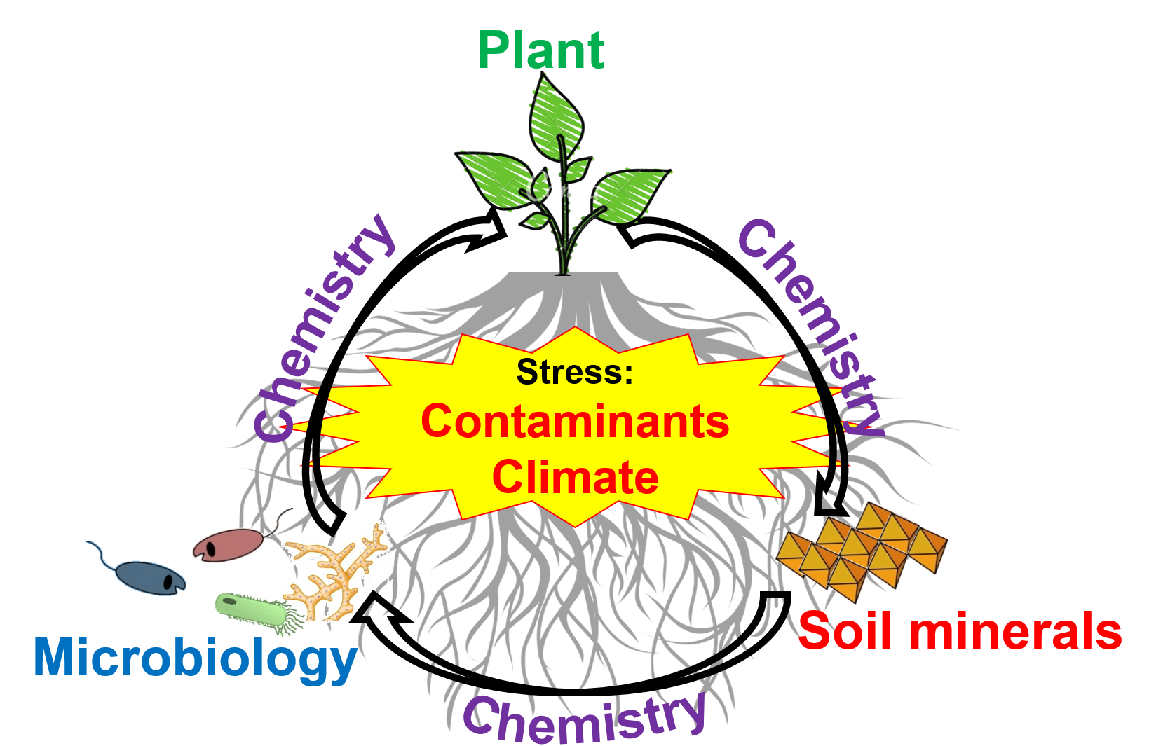 Concept of Plant Biogeochemistry