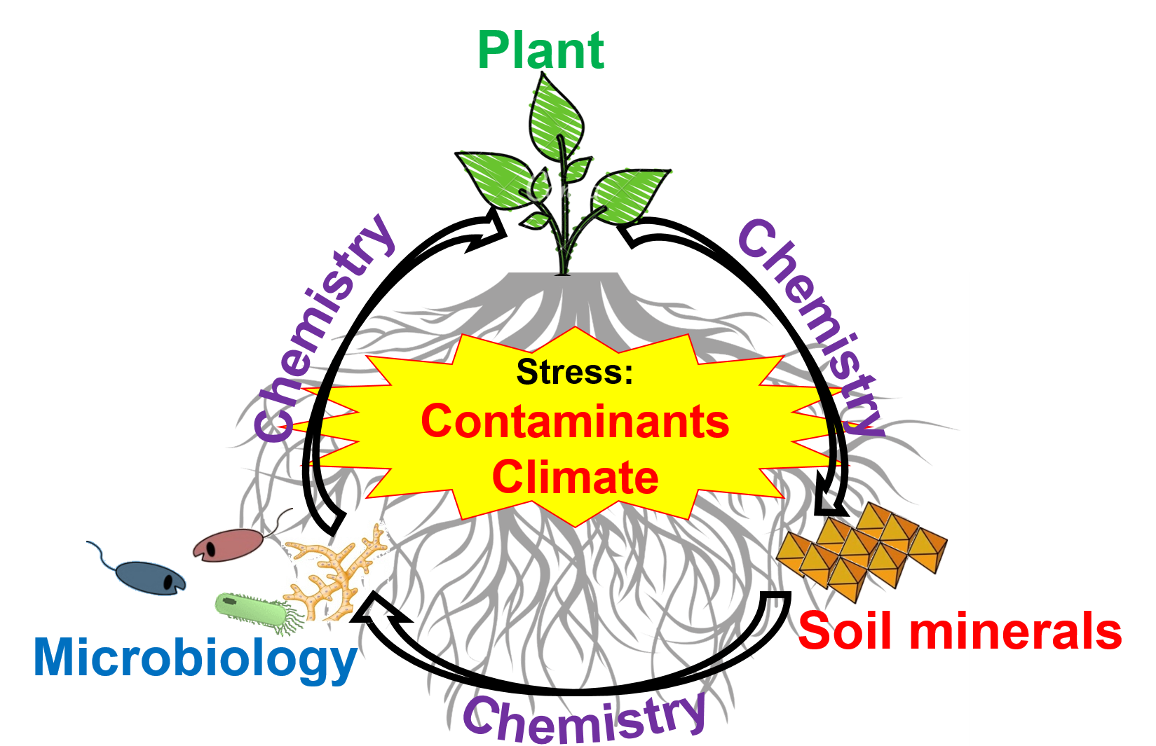 Concept of Plant Biogeochemistry Concept of Plant Biogeochemistry