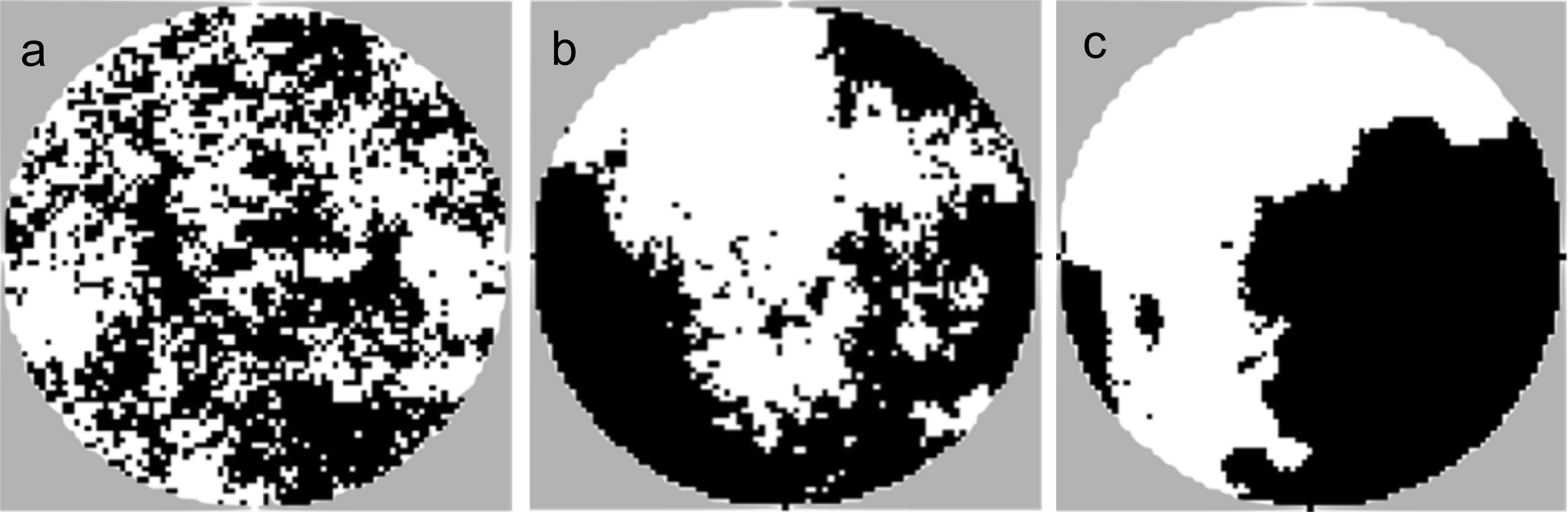 Dispersal networks