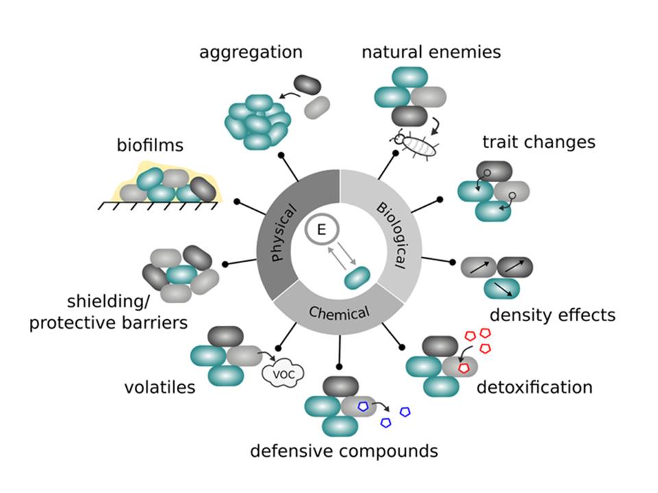 Dispersal networks