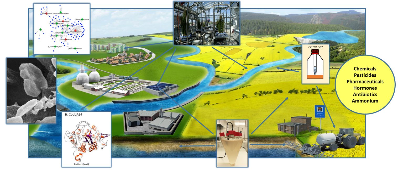 Umweltbiotechnologie. Grafik: UFZ; Quelle: Cast GmbH & Co. KG im Auftrag des UFZ Umweltbiotechnologie. Grafik: UFZ; Quelle: Cast GmbH & Co. KG im Auftrag des UFZ