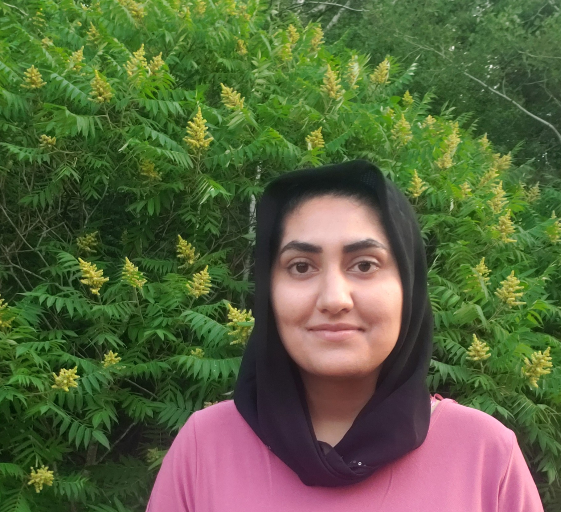 Aisha Javed Aisha Javed