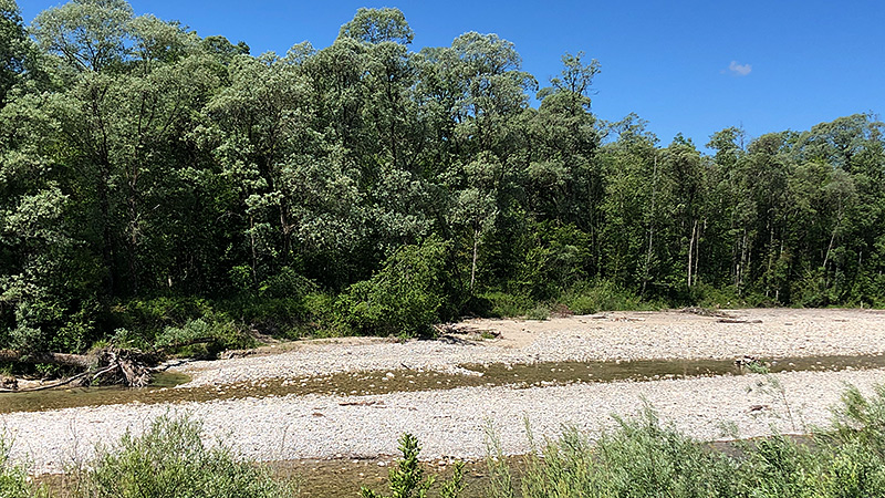 Die Ammer im Allgäu. Anstatt der Frühjahrsschmelze speisen nur noch Rinnsale die Ammer.
Foto: Michael Riesch, Juni 2020.