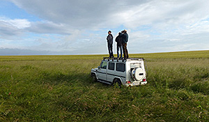 Bird monitoring, researchers on top of a car watching birds. Quelle: UFZ