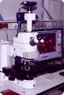 Zeiss Imager Zeiss Imager