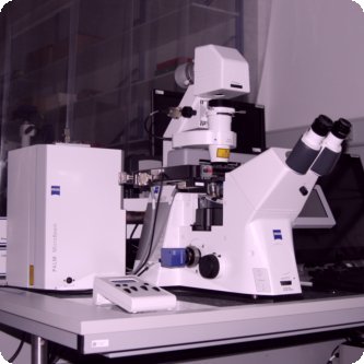 Zeiss Palm laser-microdissection system Zeiss Palm laser-microdissection system